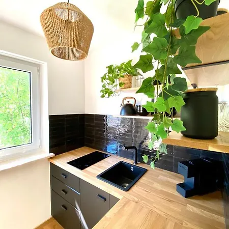 Jungle Suite Mit Balkon I Parkplatz I Zentrum * Kempten